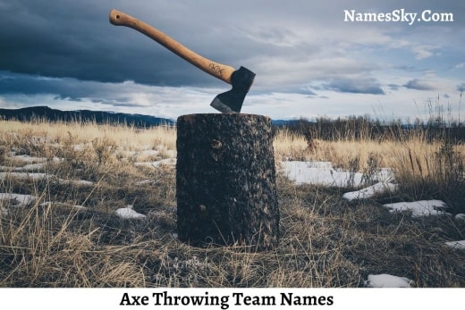 Axe Throwing Team Names