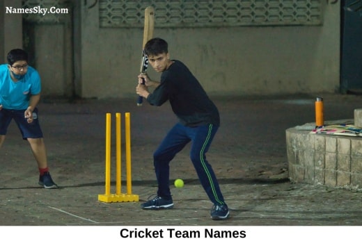Cricket Team Names