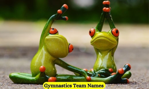 Gymnastics Team Names