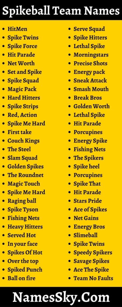 Spikeball Team Names