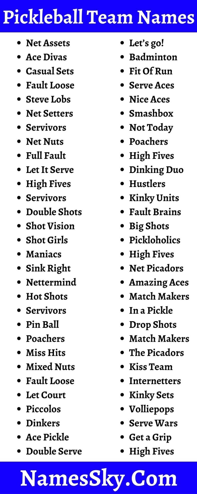 Pickleball Team Names 601+ Funny Team Names For Pickle ball