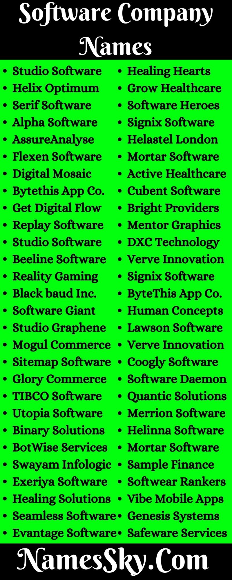 Software Company Names 1 