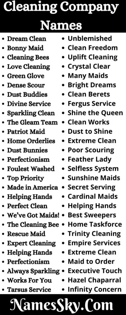 Cleaning Company Names: 260+ Unique Names For Cleaning Business