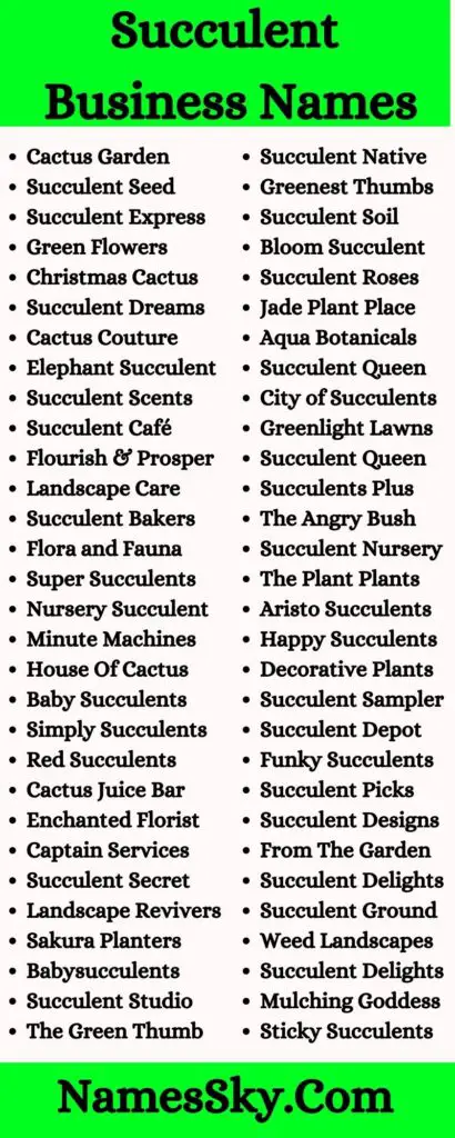 208+ Succulent Business Names Ideas List & Name Generator