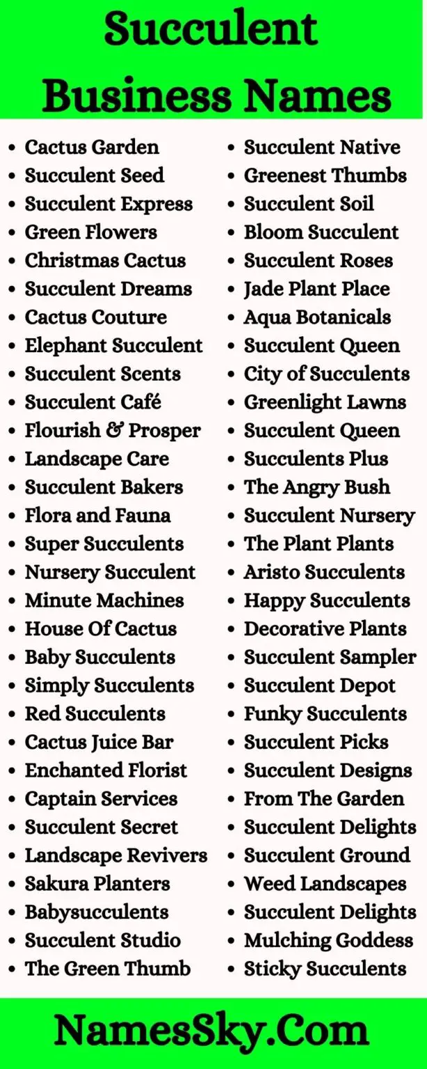 208+ Succulent Business Names Ideas List & Name Generator