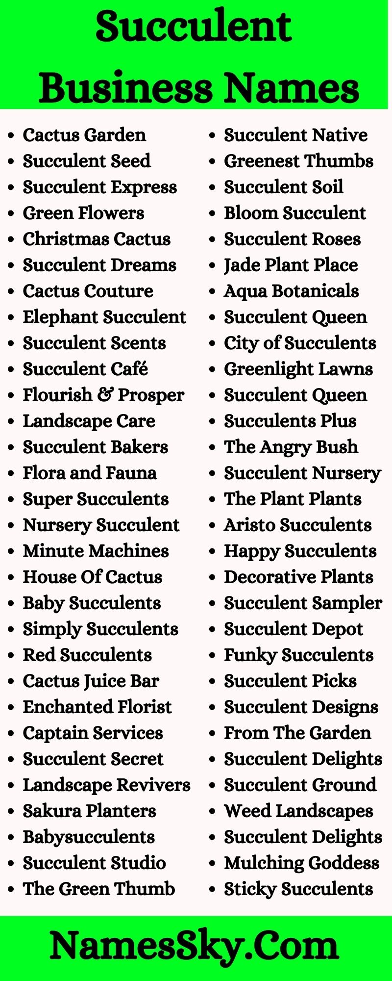 Succulent Business Names