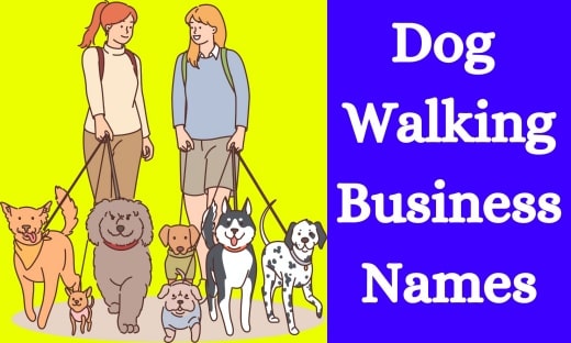 562 Dog Walking Business Name Ideas That Aren t Taken