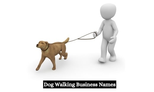 Dog Walking Business Names1