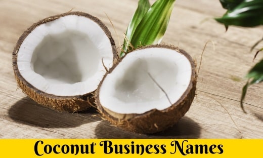 Coconut Business Names.1
