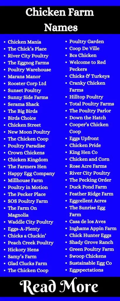 Chicken Farm Names 658 Funny Name Idea For Poultry Farm Business