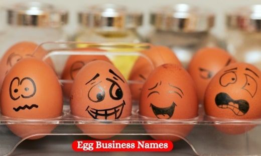 Egg Business Names.1