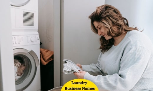 Laundry Business Names