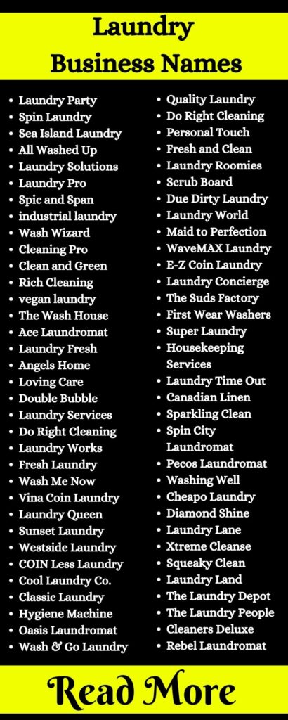 Laundry Business Names1