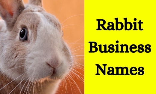Rabbit Business Names1