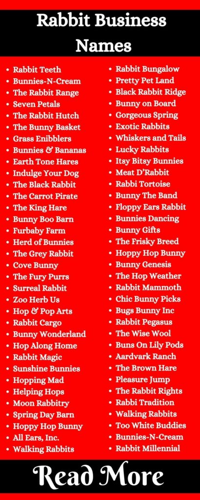 Rabbit Business Names2