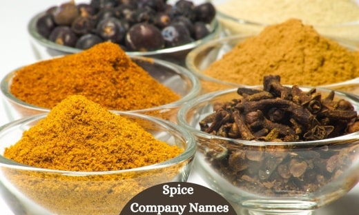 Spice Company Names1