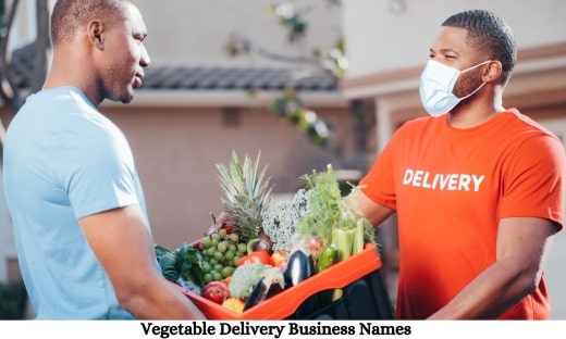 Vegetable Delivery Business Names1