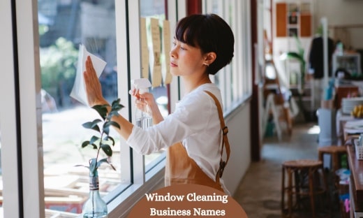 Window Cleaning Business Names1