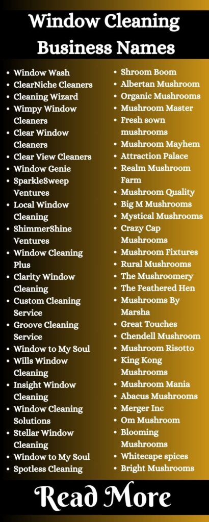 Window Cleaning Business Names3